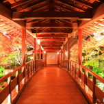 お城からグルメまで日帰りでも楽しめる♡姫路の王道観光プランをご紹介！