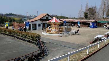 ランド ビュー / 19