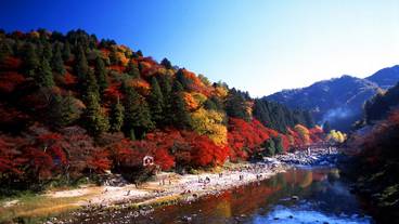 観光スポット / 4