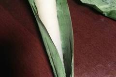 御菓子司 萬勝堂