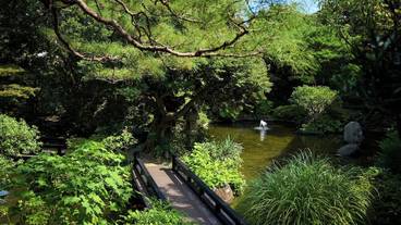 日本庭園 / 34