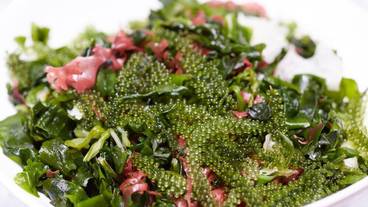 食事・飲み物 / 14