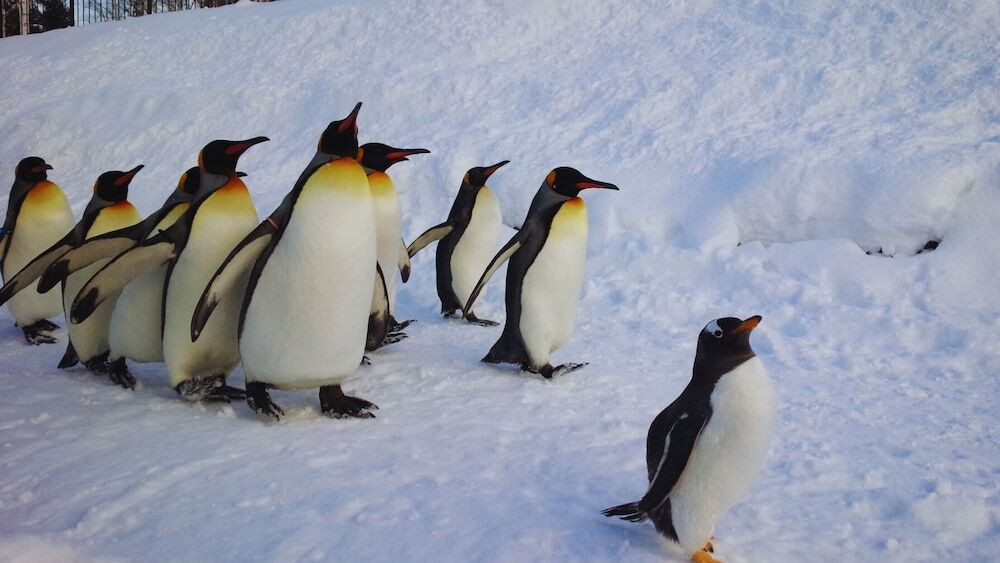 子供向けアクティビティ