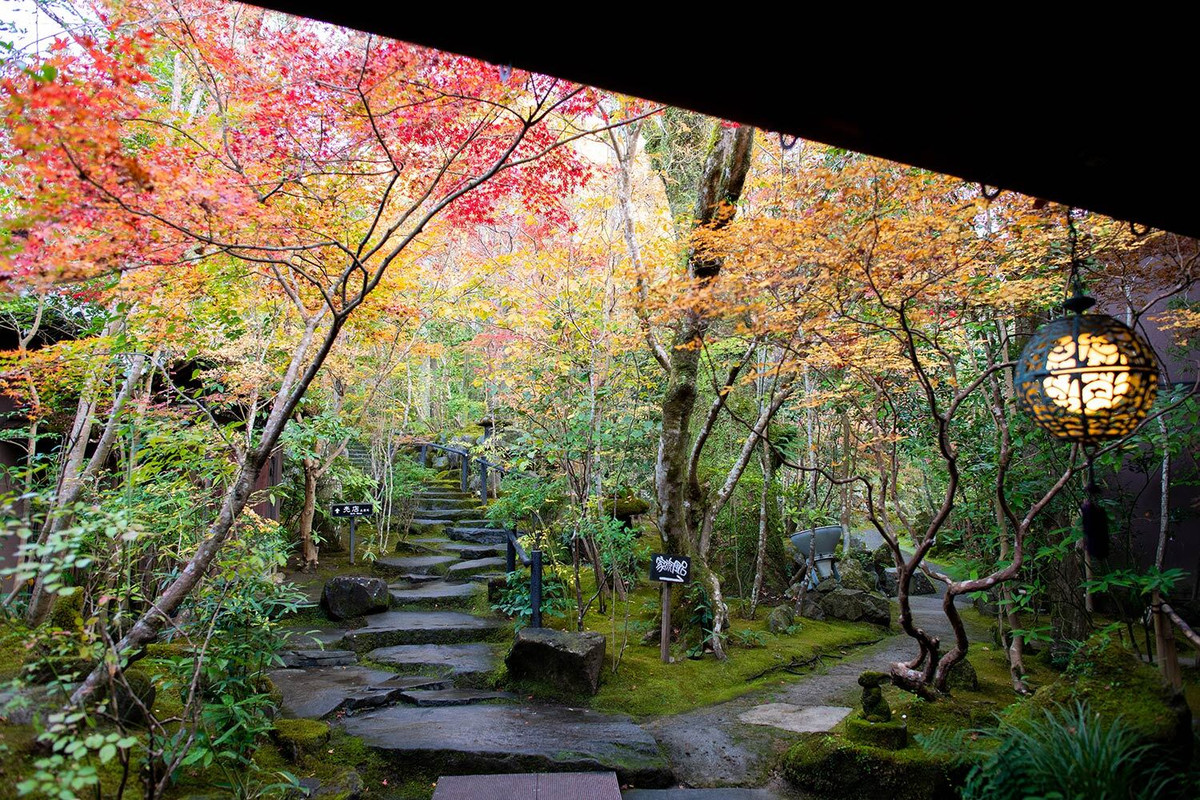 敷地内の風景／秋