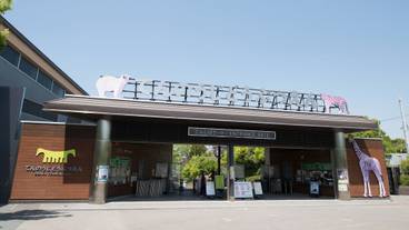 観光スポット / 11