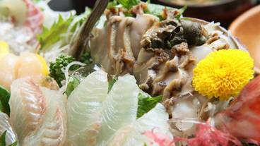 食事・飲み物 / 14