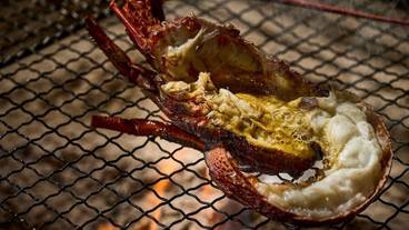 食事・飲み物 / 10