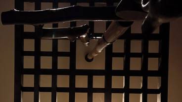 リビング エリア / 21