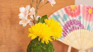 内装の詳細 / 11