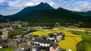 ランド ビュー / 16