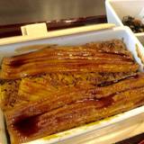 まめたぬき（マメタヌキ）