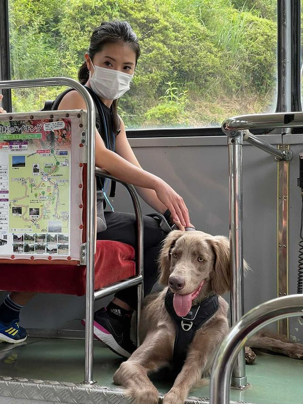 aoblue_._さんの写真 / 1