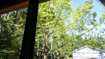 施設からの眺望 / 23