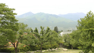 スタンダード和室　（定員2〜3名/ チェックイン18時まで / 最終夕食時間19:30）