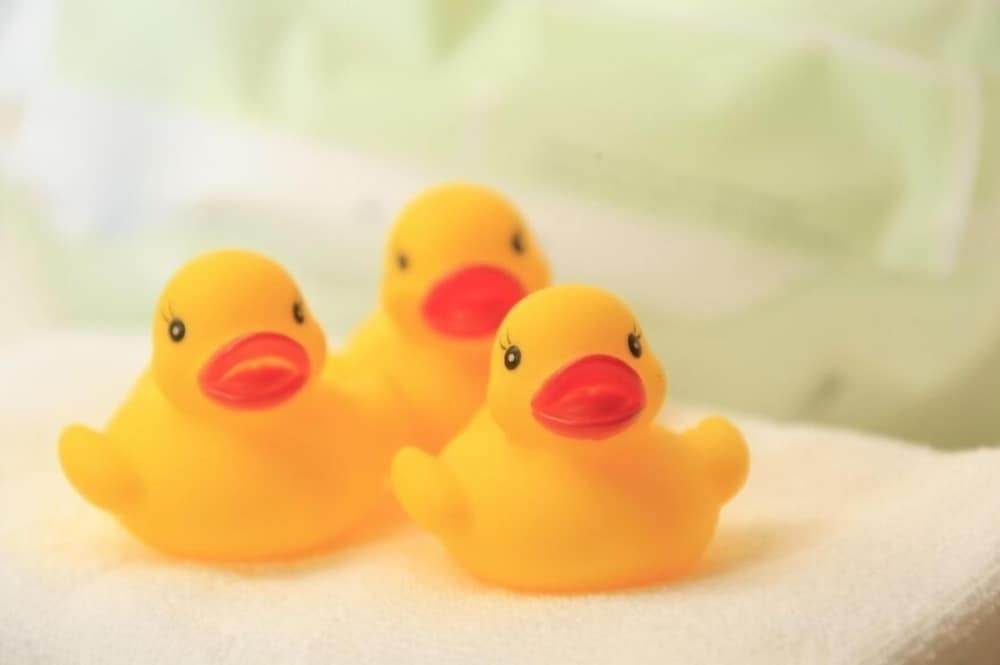 子供向けアクティビティ