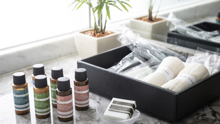 エグゼクティブツイン シティビュー（ 25㎡ / 禁煙 ）