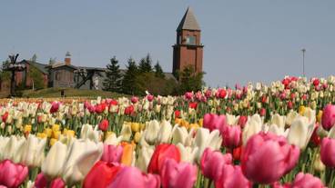 施設からの眺望 / 12