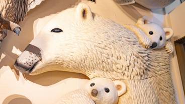 施設内の設備 / 5