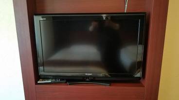 テレビ / 11