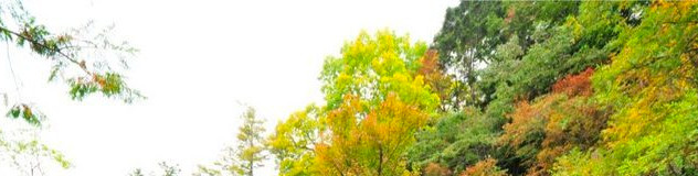 日光のさらに奥！奥日光「日光湯元温泉」の旅館・ホテルおすすめ8選