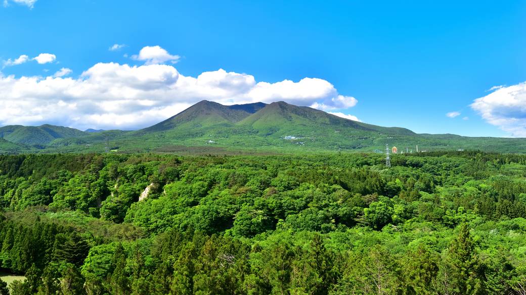 那須高原の風景 / 1