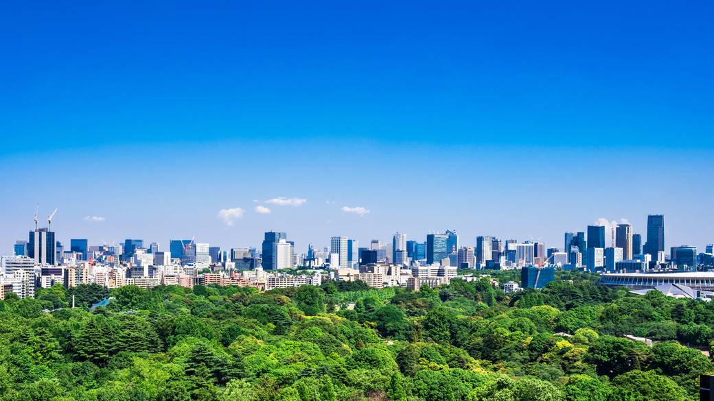 東京都庁からの眺め(2) / 3