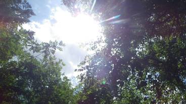 ホテル周辺の風景② / 12