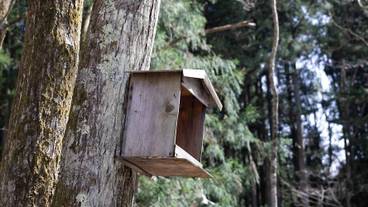 施設の敷地 / 37