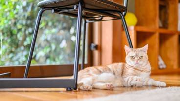 施設内の設備 / 13