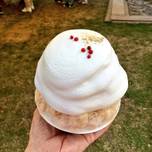 一度食べるとくせになる！奈良「ほうせき箱」のかき氷でとろけたい