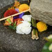 ホテル杉長（京都府 旅館） / 4