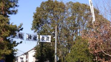 シティ ビュー / 13