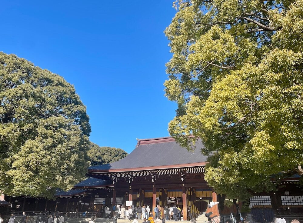 シティ ビュー