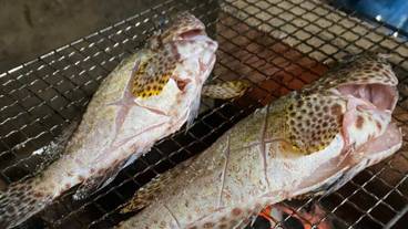 子供向けアクティビティ / 8