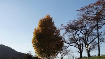 マウンテン ビュー / 38