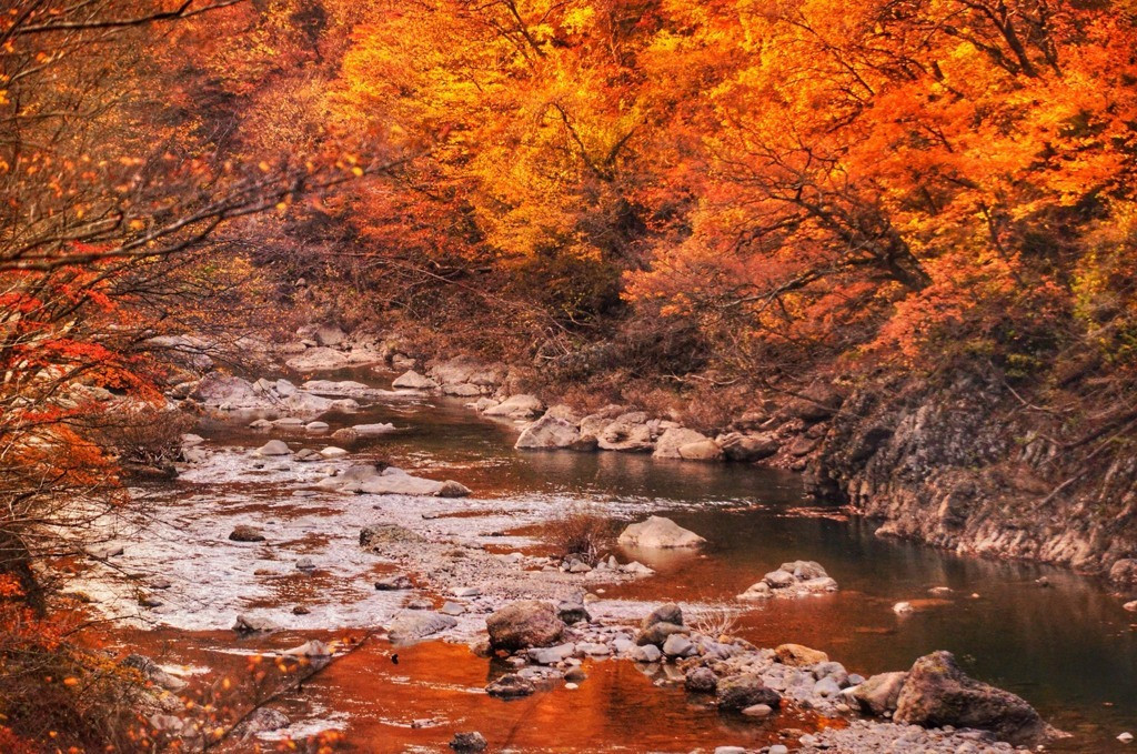 秋田の高級宿で、二人の思い出を作っちゃおう ♡3633279