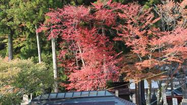 施設の敷地 / 10