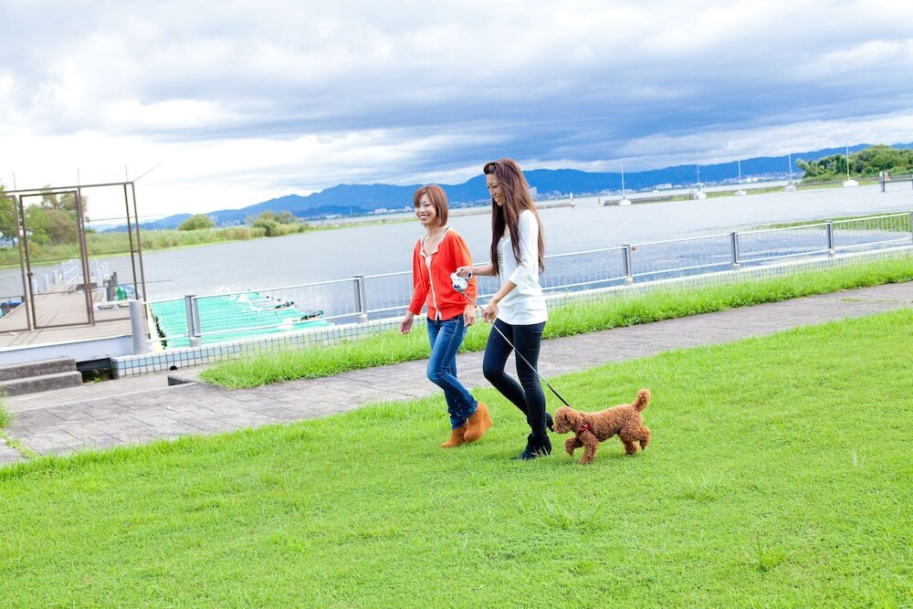 施設からの眺望