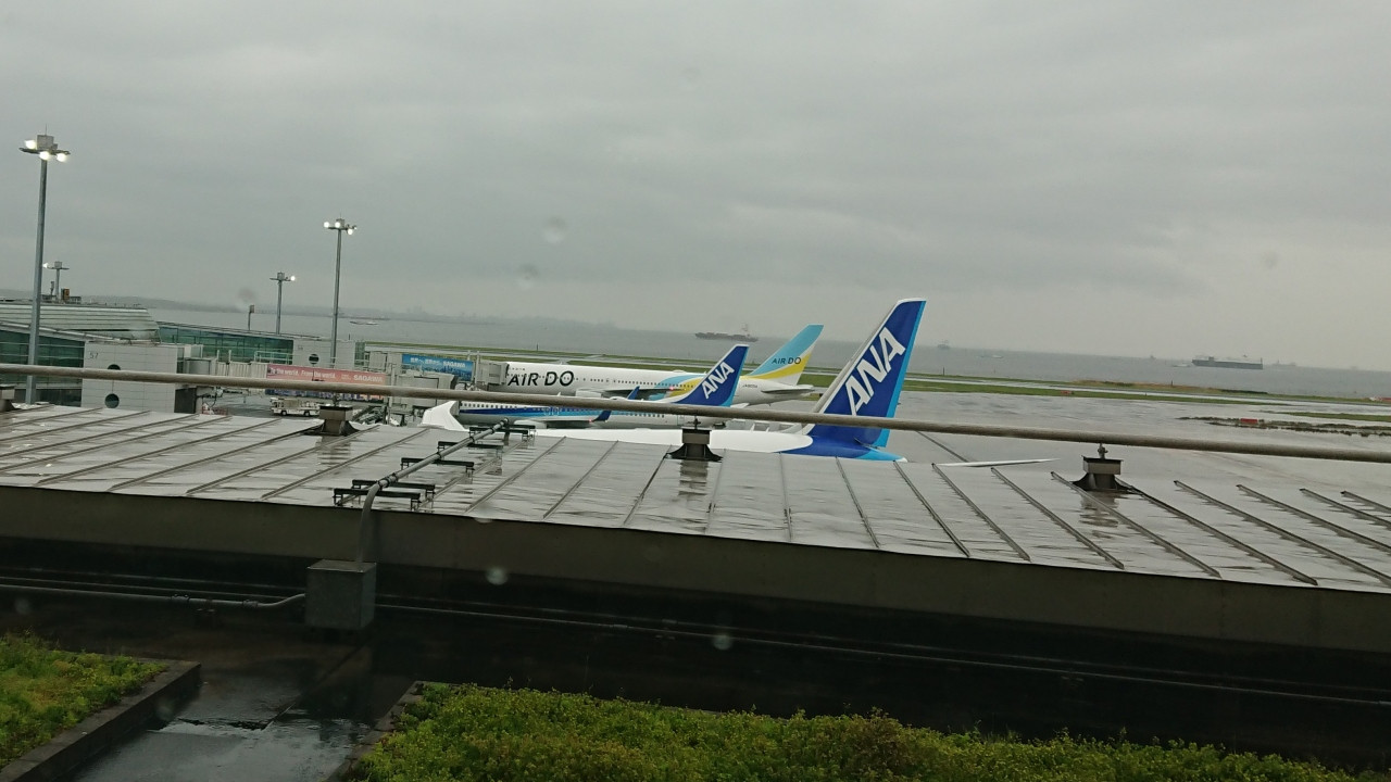 AIRDO機がみえる。ホテルから最も近いカウンターはAIRD