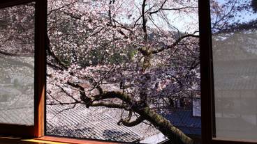 部屋からの景観 / 18