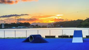 ペット用設備・サービス / 1