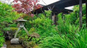 施設の敷地 / 13