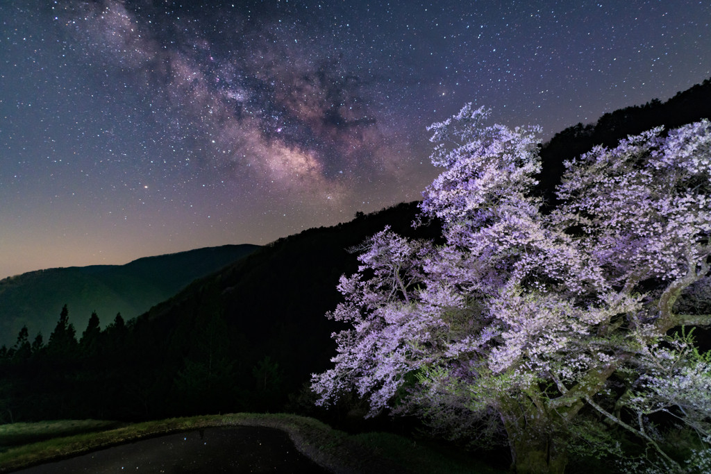 “ここでしか味わえない！”の先には、幸福感が満ちている3514553