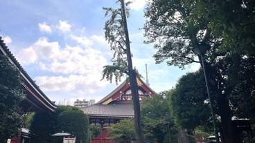 観光スポット / 1