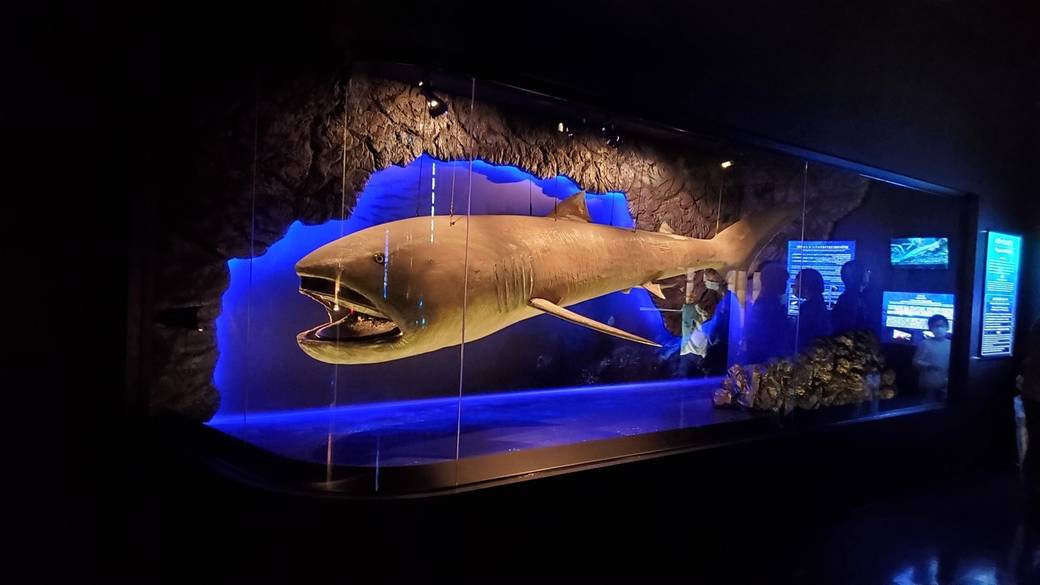 神秘の世界
深海水族館を満喫
 / 1