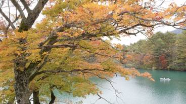 観光スポット / 3