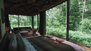 ジュニアスイート「Forest」ダブル 禁煙