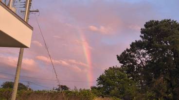 部屋からの景観 / 8