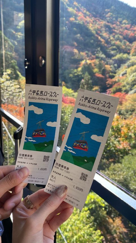 m_j_1115__さんの写真 / 2