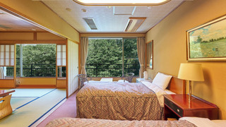 和洋室　畳エリア付　マウンテンビュー